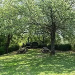 Agriturismo La Papessa *